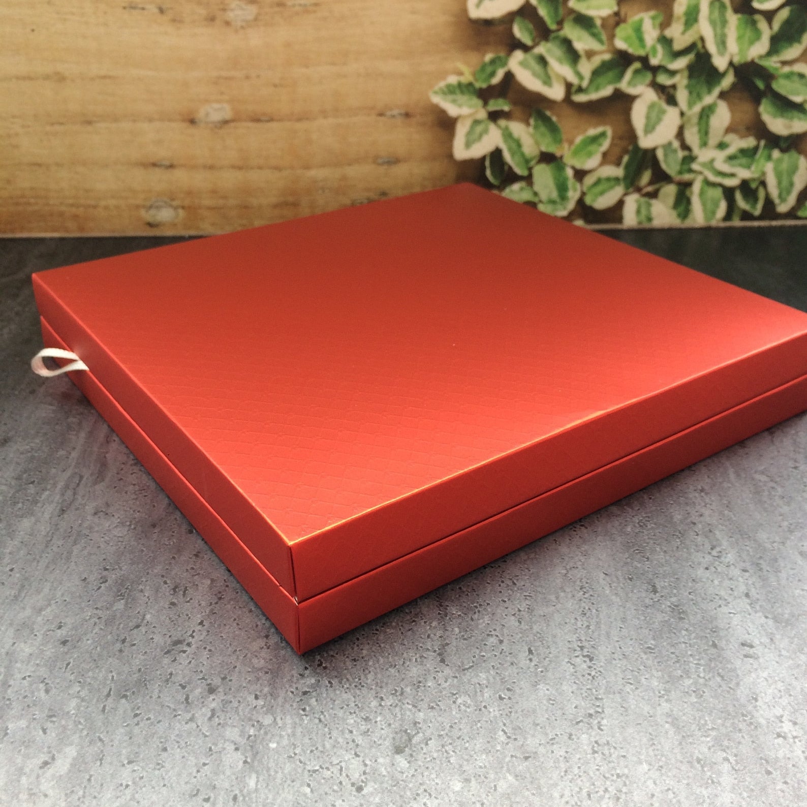 500 gr Cardboard Chocolate Boxes | 4x4 Seperator